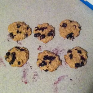 Six blueberry cookies from an early test batch